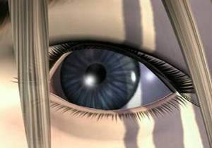 b81.jpg